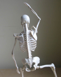 esqueleto de costas